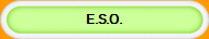 E.S.O.